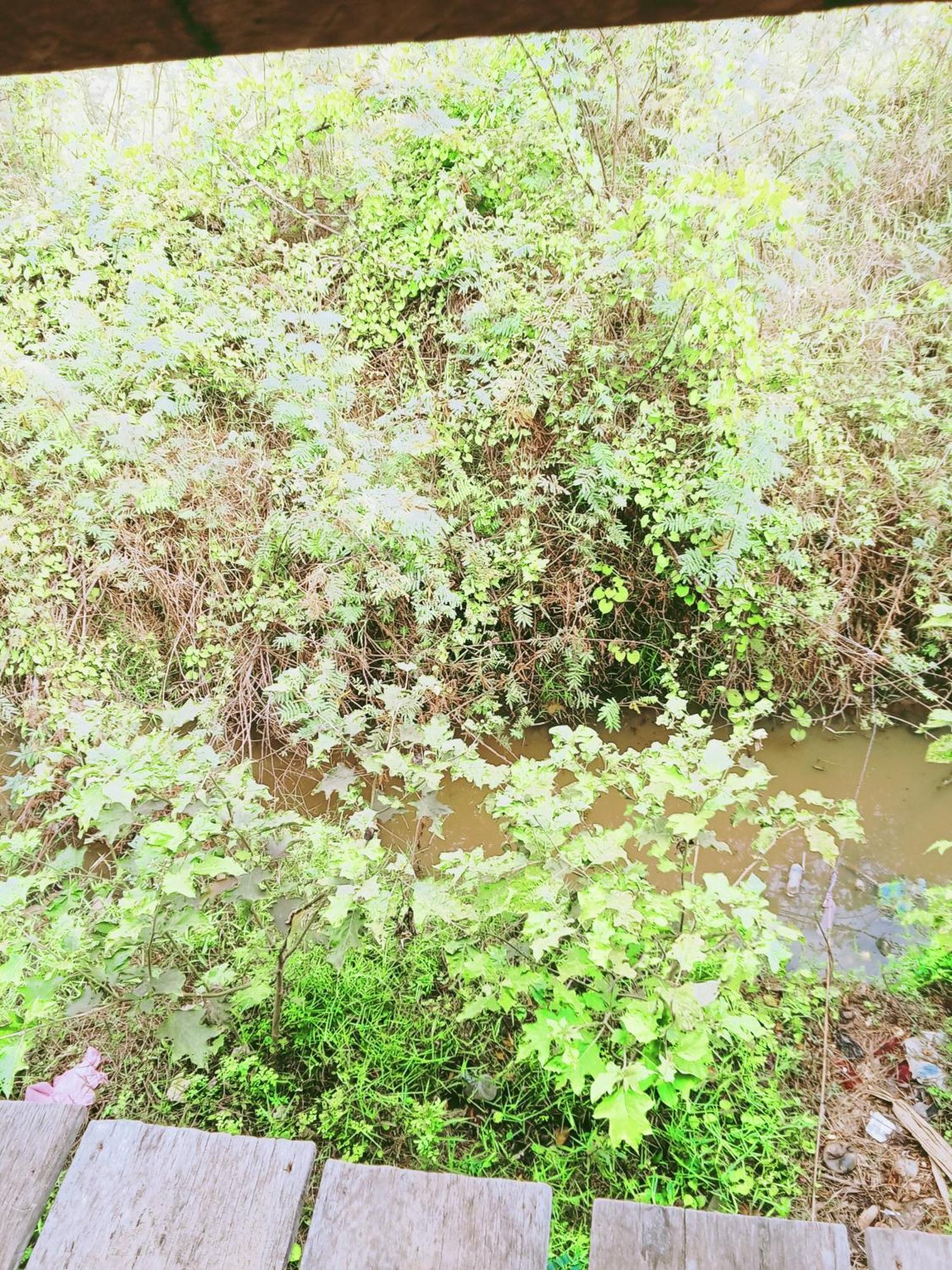 Chamkachuk Home Siem Reap Dış mekan fotoğraf